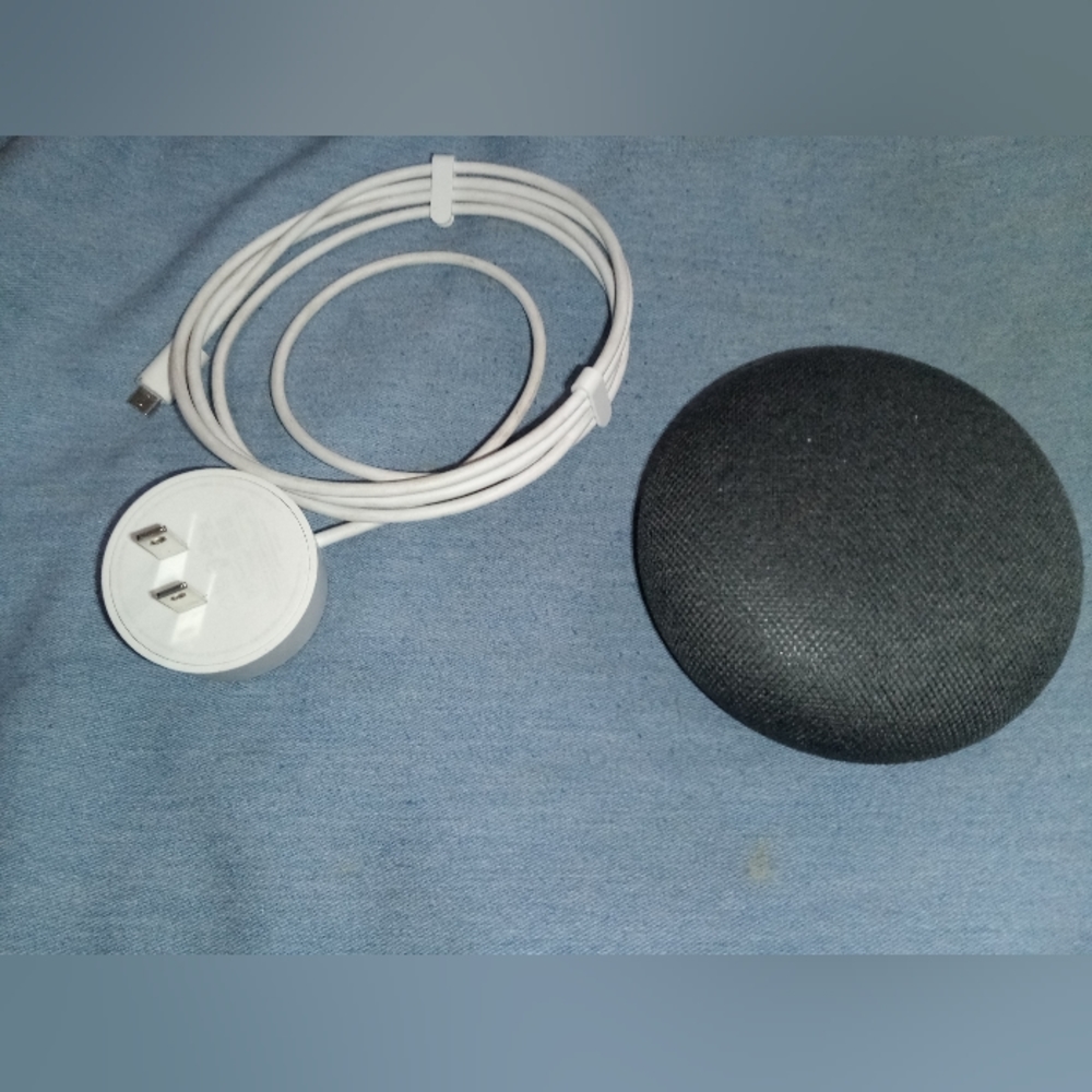 Google I home